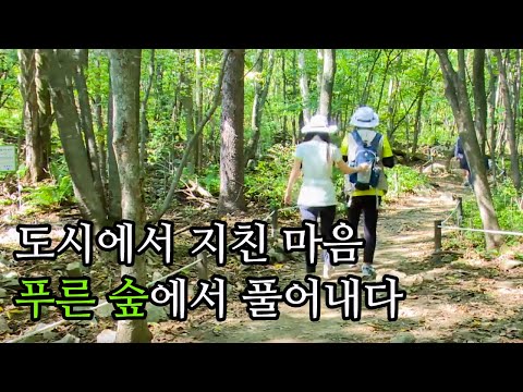 푸른 <strong>지상낙원</strong> 숲으로 가다 / YTN 사이언스