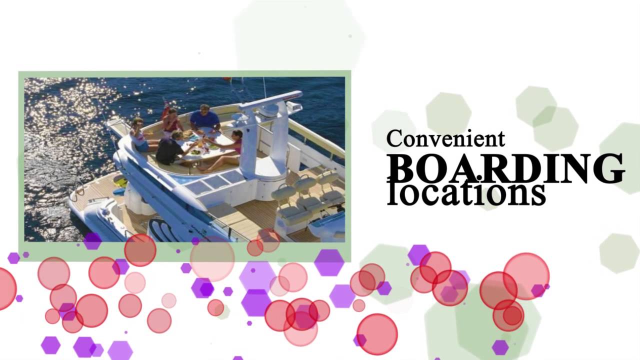 Yacht Charter Cabo Cabo Yacht Charters YachtCharterCabo YouTube