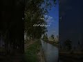 #fypシ゚viral #islamicstoriesinurduandhindi #youtubeshorts #subhanallah #allahhuakbar #alhumdulillah