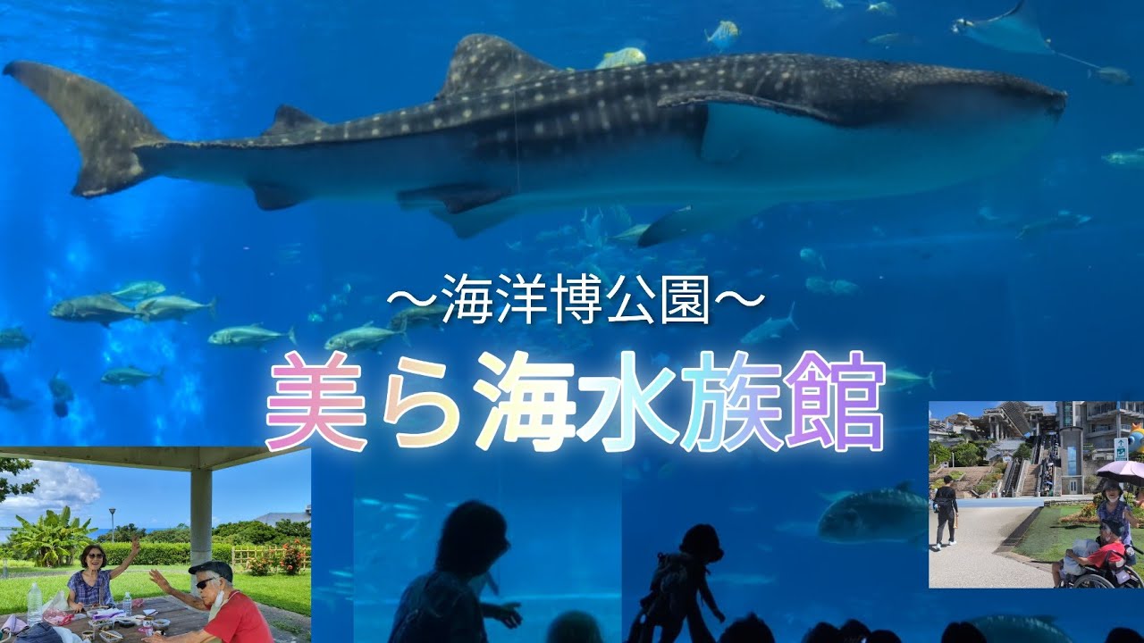 美ら海水族館🐋〜海洋博公園〜