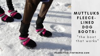 Muttluks Fleece Lined Dog Boots Review: Warm Boots for Cold Winter Hikes by Pawsitively Intrepid 9,119 views 3 years ago 10 minutes, 19 seconds