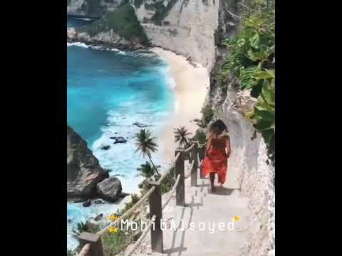 موسيقى اغنية اغلى الحبايب اليسا حالات صباحية