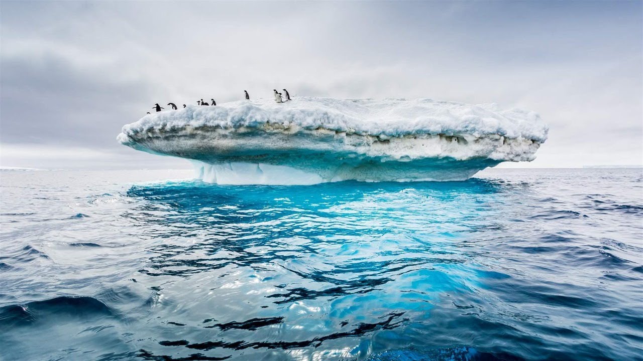 “Tale of Two Oceans”