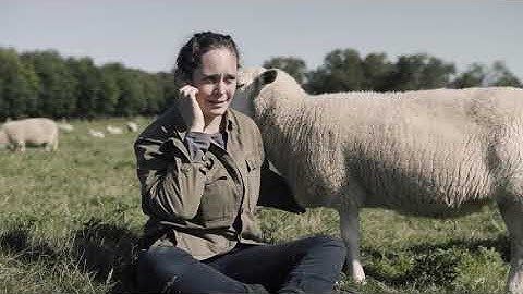 Demeter - Care for Nature