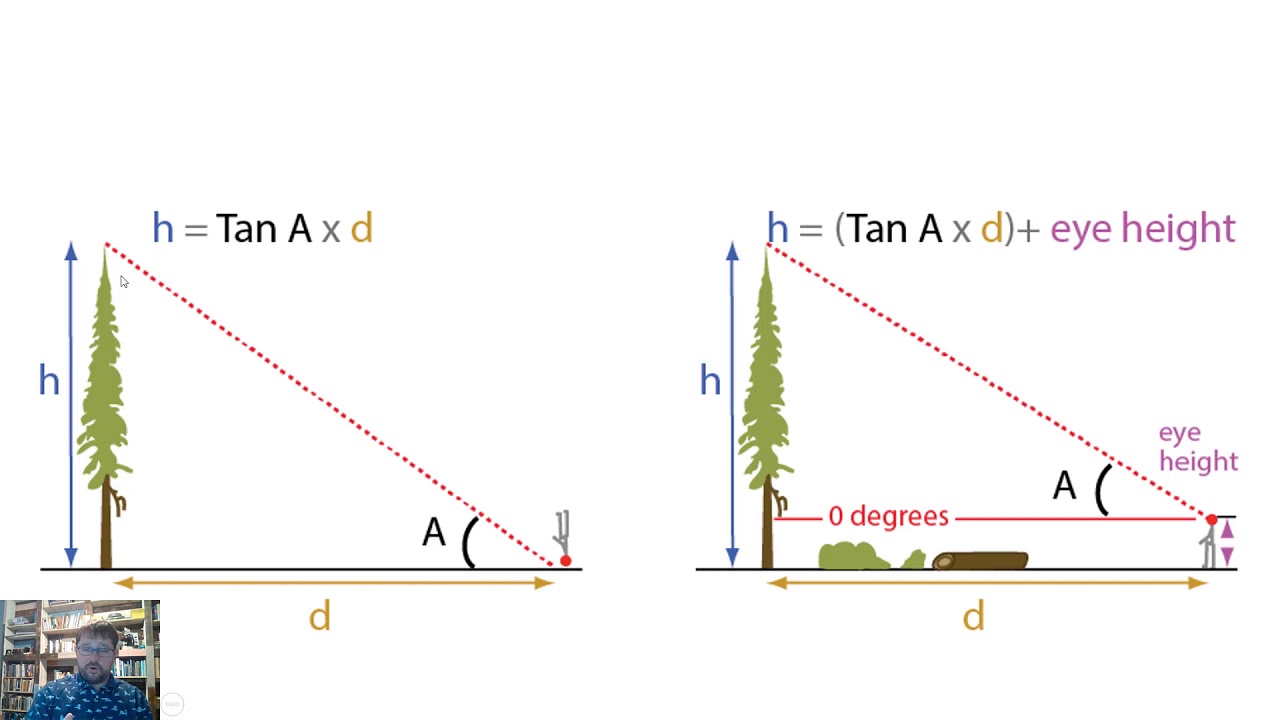 Low height. Height measurement. Heigh of Trees. Height Meter. Police height Meter.