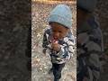 What does a red Russla smell like #nature #mushroom #fungus #fungi