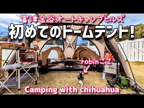 愛犬が一番喜ぶキャンプ場で初めてのドームシェルター設営!たこ焼きにも初挑戦!【千葉県:富津金谷オートキャンプヒルズ Cドッグランサイト】