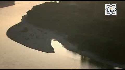 سورة القلم القارئ بدر النفيس