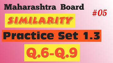 Similarity Class 10th Practice Set 1.3 (Q.6-Q.9) Maharashtra Board New Syllabus