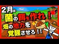 【畑の地力向上】生ゴミ漬け物肥料で微生物活性化!野菜と微生物を育てる肥料!作り方を解説!【アニメでわかる家庭菜園解説】