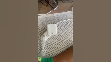 British echo flex not connected to the Internet