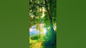 #القرآن الكريم #ماتيسر من سورة الحشر #اللهم صل وسلم وبارك على نبينا #اكسبلور