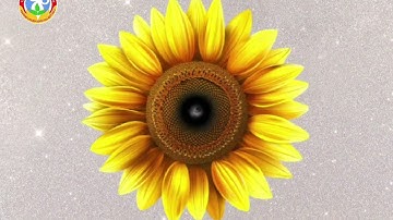 Ngày hội mở cửa trường học - Open house school của các bé Lớn A6 năm học 2025 - 2026