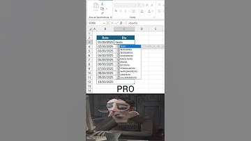 Dia por extenso no Excel!