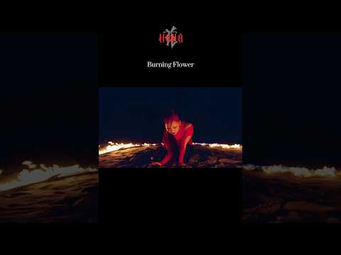 Hanaburning Flowermv公開hanabraveofficial Hanaburning Flowermv公開hanabraveofficial