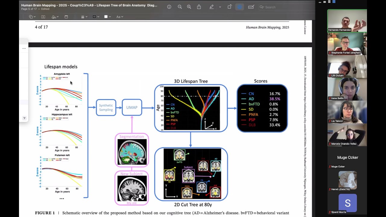 Neuroccino 24th Nov 2025 - Lifespan tree for diagnostics of neurodegenerative diseases