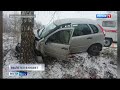 Происшествия в Тверской области сегодня | 23 ноября | Видео