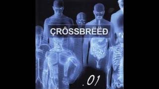 Watch Crossbreed Unleash Me video