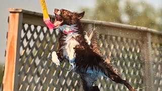 NADD Dock Diving trial July 7-9 2023