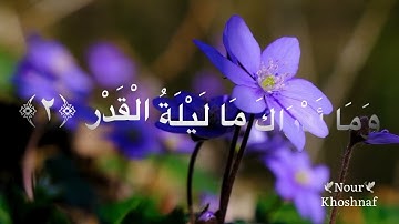 [سورة القدر🤲🌸بي اجمل صوت الشيخ ماهر المعيقلي]اجمل حالات وتس اب قرآن الكريم🌹🤲