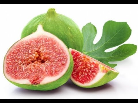 ლეღვის ნერგის გამოყვანის იოლი მეთოდი.ლაზარე