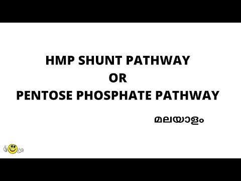 Video: Mengapa laluan pentosa fosfat dipanggil HMP shunt?