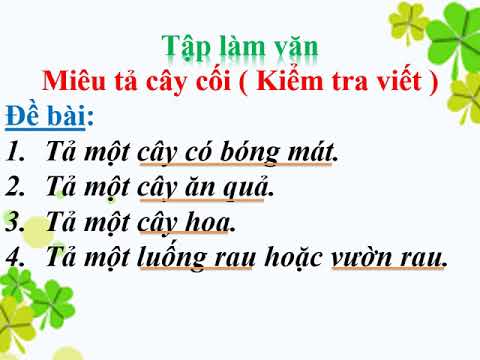 TLV lớp 4. Tuần 27_Miêu tả cây cối_Kiểm tra viết