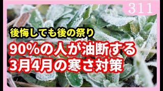 苗木専用 問い合わせページ 10月より再開...♪*゜冬の防寒対策参考画像あり You'll regret it if you're not careful] How to deal with the cold