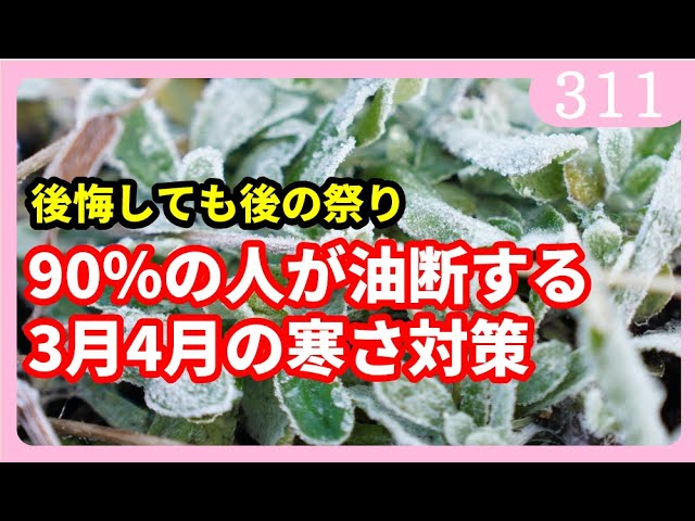 You'll regret it if you're not careful] How to deal with the cold