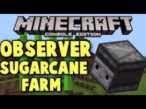 Observer Block Sugar Cane Farm  Minecraft Xbox One 