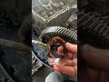 Falla muy común en las transmisiones de JettaA4, el tornillo de bocaflecha no enrosca #transmision