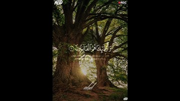 سورة التوبة القارئ #ياسر_الدوسري ‎@islam_sobhi  ‎@Sonic_islamic #فلسطين#السعودية#المغرب#الجزائر#مصر