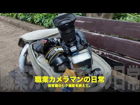 武田映像企画【リビングフォト】 A Professional Photographer's Daily Life] After Filming a