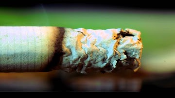 Cigarette Macro Footage