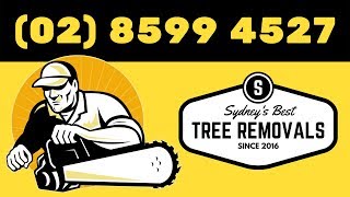 Tree Removal Belrose Sydney