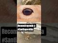 Paleoarte en 2 minutos