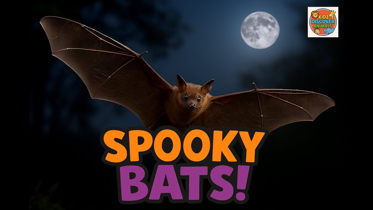 Spooky Bats! Child-friendly fun, quirky, and a bit gross facts about our spooky friends, the Bats!