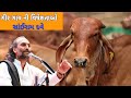 ।।ગીર ગાય ની વિષશેષ્તાઓ।। ।।The specialty of Gir Cow।। ।।गीर गाय की विशेष्ता।। Sairam dave