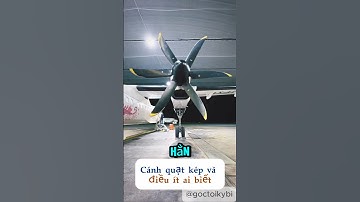 Cánh quạt kép và điều ít ai biết. #shorts