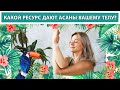 Какой РЕСУРС дают АСАНЫ вашему ТЕЛУ?