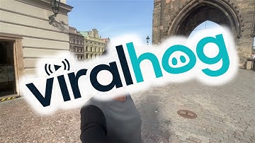 Bees Swarm The Bridge || ViralHog