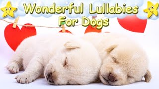 Soft Relaxing Sleep Music For Puppies ♫ Calm Relax Your Labrador Dog ♥ Lullaby For Pets Animal Music screenshot 5