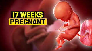 17 Weeks Pregnant Baby Moving । 17 Weeks Pregnant In The Womb । Week By Week Pregnancy 17 Weeks Pregnant Baby Moving । 17 Weeks Pregnant In The Womb । Week By Week Pregnancy