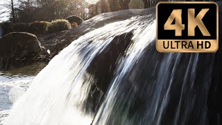 FREE 4K Stock Footage: Forest Waterfall