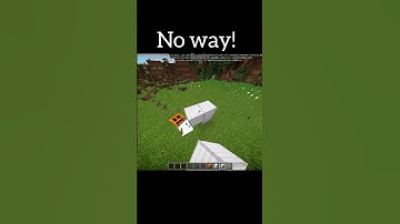 No way #minecraft #shorts #viralshort