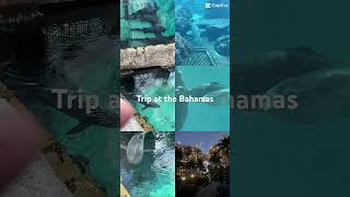 Download Lagu Bahamas #dj #music #mpl #edms #automobile #ipl MP3