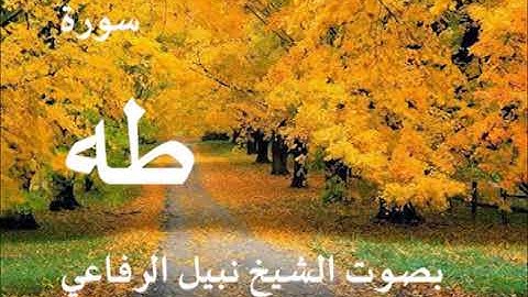 020  سورة طه بصوت الشيخ نبيل الرفاعي
