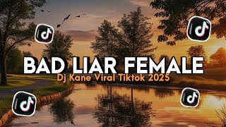 Dj Bad Liar Female X Mashup Melody River Flows in You • Nando remix