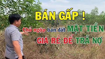 Cần bán gấp giá rẻ đất mặt tiền xã Trị An, Vĩnh Cửu. Đất Vĩnh Cửu giá rẻ #ĐSVC63