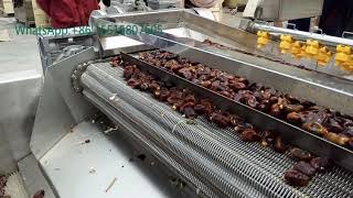 Dry Dates Fresh Vegetable Fruits Cleaning Washing Drying Processing